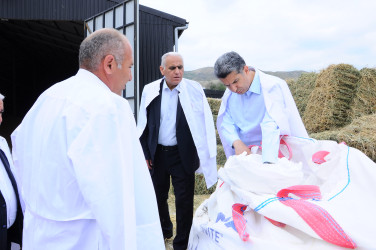 Heyvandarlıq kompleksi ilə tanışlıq