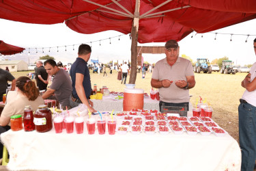 Festival zəngin proqramla yadda qaldı