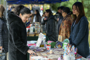 A Novruz celebration was held in the Goygol district