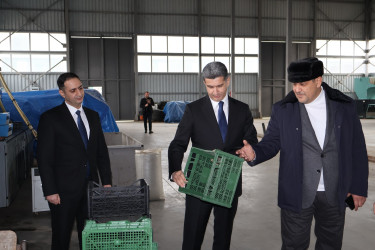 “Şirin Aqro” QSC-nin meyvə bağlarına baxış