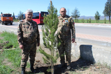A tree-planting campaign was held in Goygol