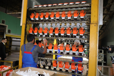 İstehsal müəssisəsi ilə tanışlıq