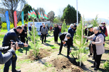 A tree-planting campaign was held in Goygol