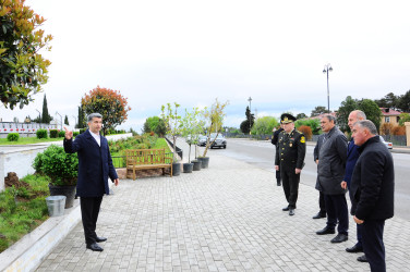 Yaşıllaşdırma işləri davam etdirilir
