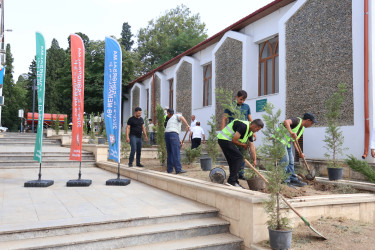 Abadlıq və yaşıllaşdırma işləri davam etdirilir