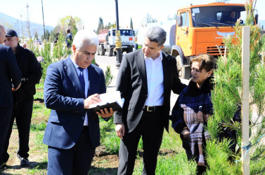 A tree-planting campaign was held in Goygol