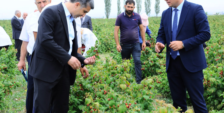 Yeni salınmış intensiv moruqçuluq təsərrüfatı ilə tanışlıq