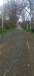 Road repairs are being carried out by the Chaykend Municipality
