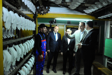 İstehsal müəssisəsi ilə tanışlıq