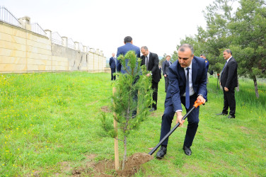 Ümummilli Lider Heydər Əliyev 103 il
