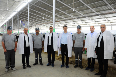 Heyvandarlıq kompleksi ilə tanışlıq