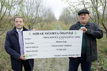 Meyvə bağlarının sığortalanma dövrü başlayıb