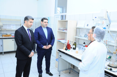 Göygöl Şərab Zavodu ilə tanışlıq