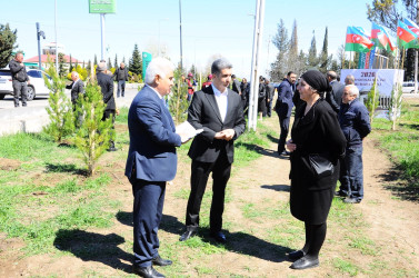 A tree-planting campaign was held in Goygol