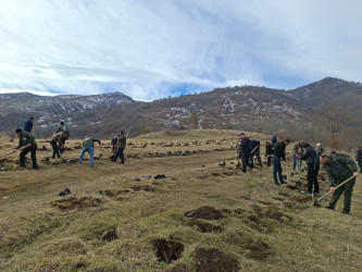 A tree-planting campaign was held