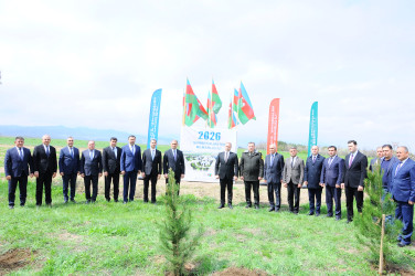 Ağacəkmə aksiyası keçirilib
