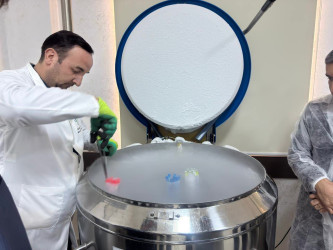 Mərkəzin fəaliyyəti ilə tanışlıq