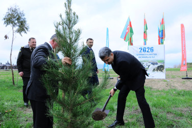 A tree-planting event was held