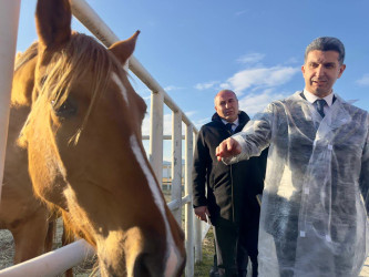 Mərkəzin fəaliyyəti ilə tanışlıq